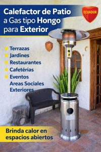 Lee más sobre el artículo Calefactores a Gas: Todo lo que necesitas saber antes de comprar